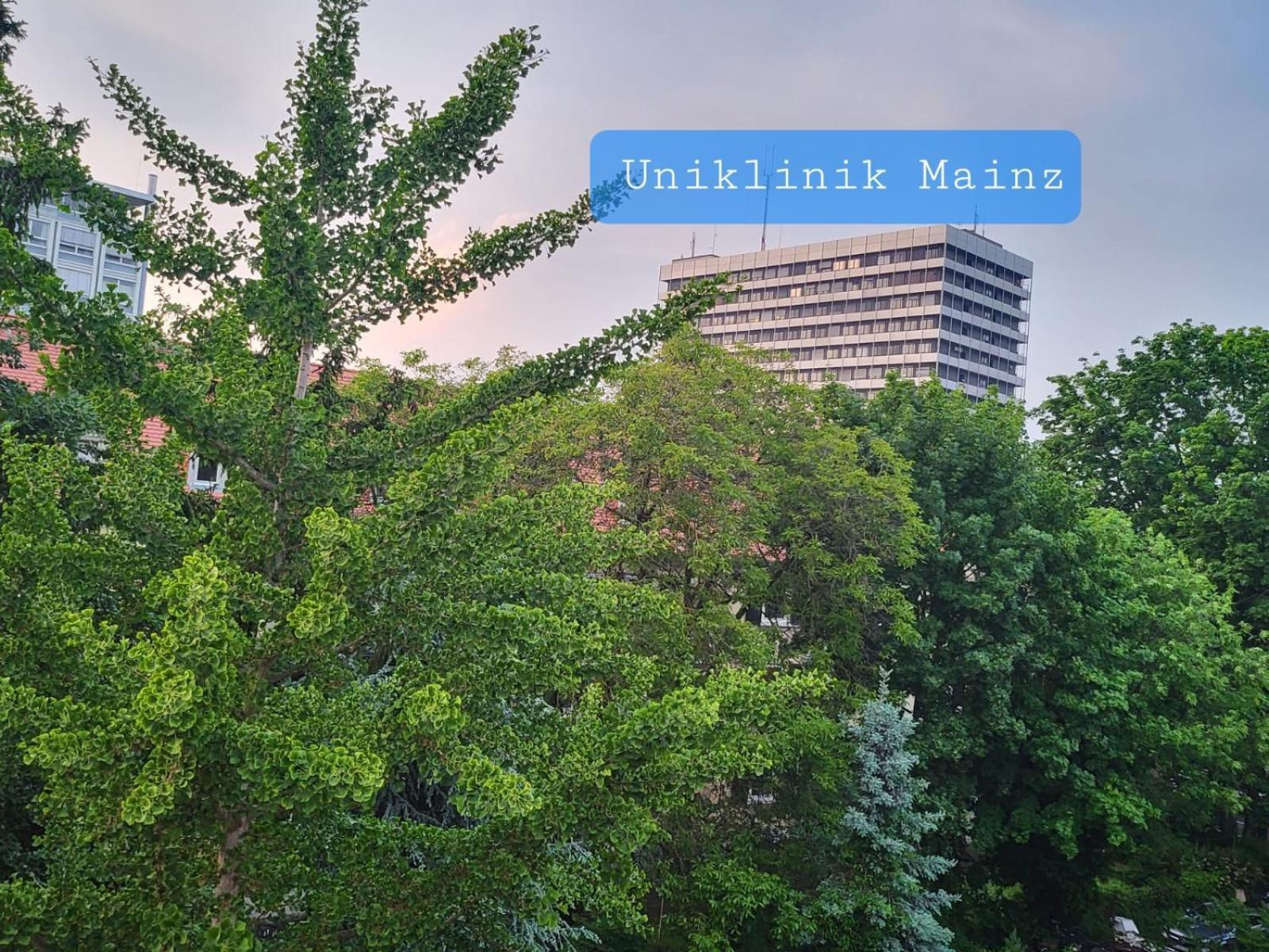 Gemuetliches Privatzimmer An Der Uniklinik Mainz. Sehr Zentral Exterior foto