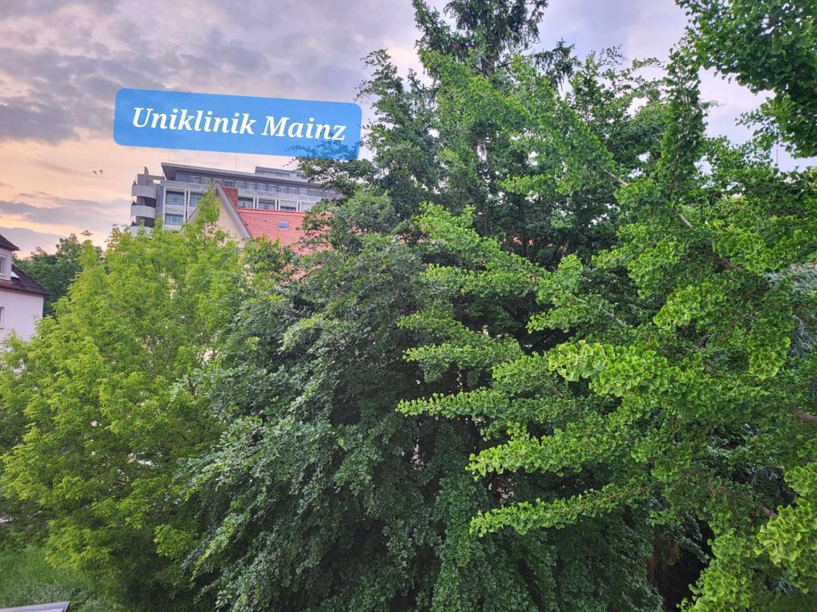 Gemuetliches Privatzimmer An Der Uniklinik Mainz. Sehr Zentral Exterior foto